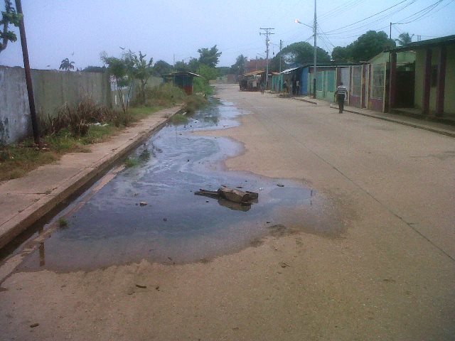 En la calle principal del sector Matos Charmelo la red de aguas servidas está caída desde hace mas de dos años