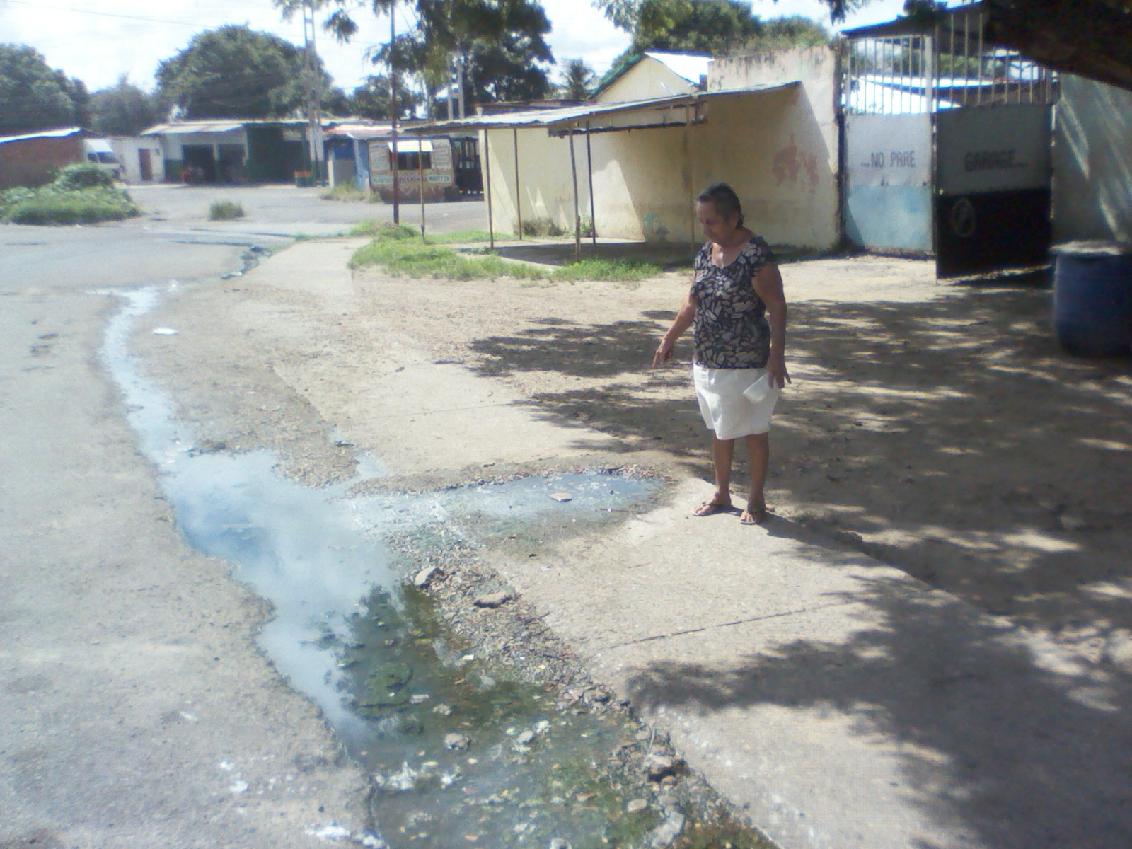 Los malos olores que desprenden las aguas servidas incomoda a los vecinos del sector Morichal