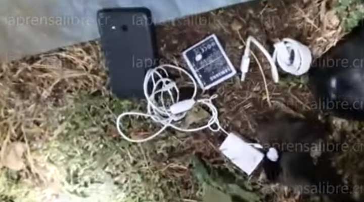 Celular que llevaba el gato para una cárcel en Costa Rica