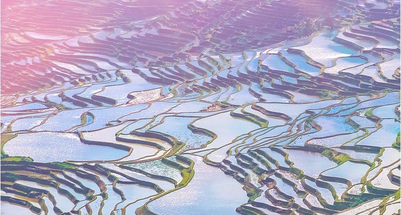 Las terrazas de arroz espectaculares