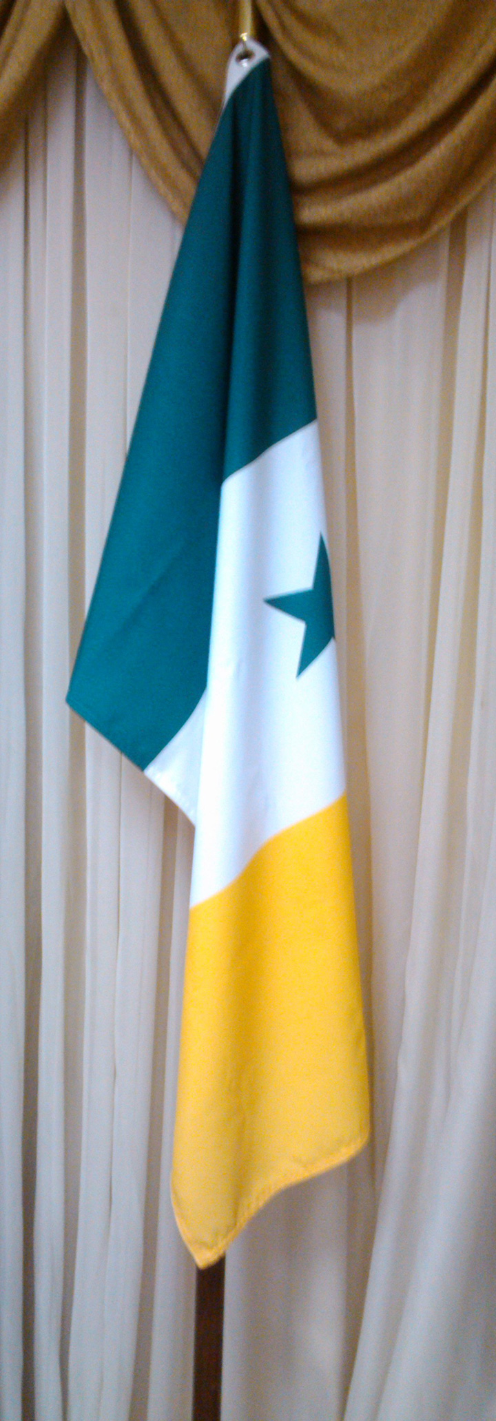 Bandera del municipio Leonardo Infante. 