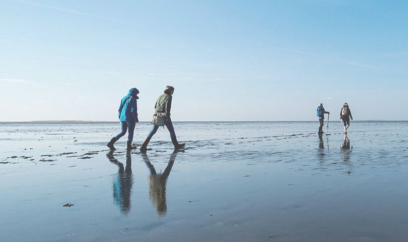 Caminar tranquilamente en el fondo del mar Frisias.