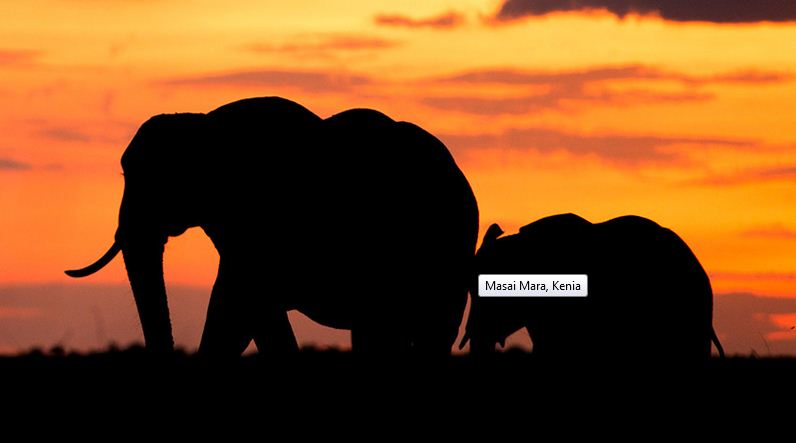 Masai Mara, el ocaso en territorio africano