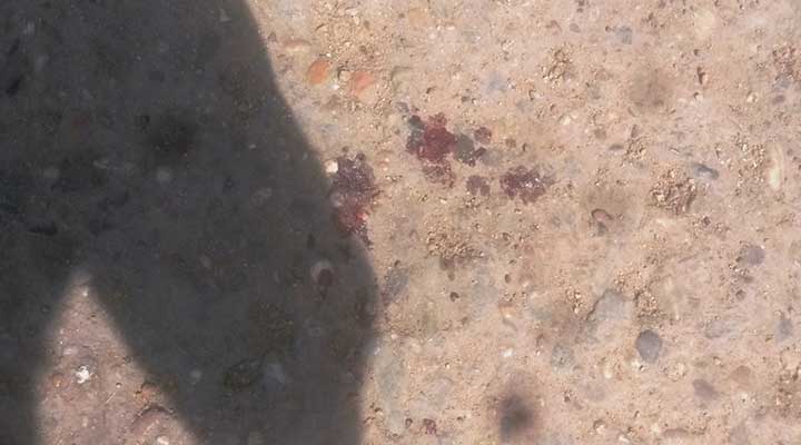 Sangre esparcida en la calle Camaleones cruce con 5 de julio de Valle de la Pascua