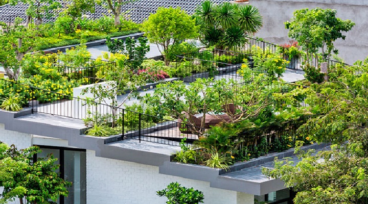 edificios con techos verdes, más eficiencia energética