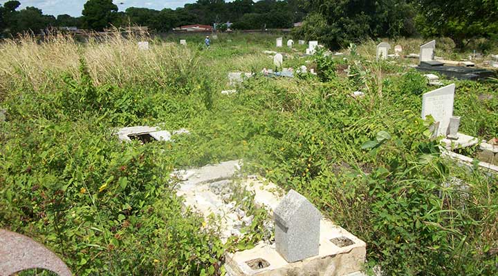 La maleza invade parcelas y tumbas en el Cementerio Municipal.jpg (2)