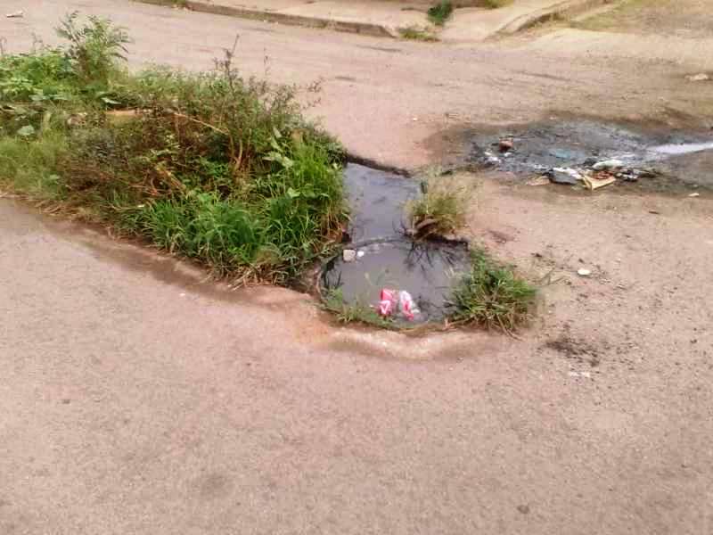 El desborde de aguas negras pone en peligro la salud de los residentes de la calle Morichal