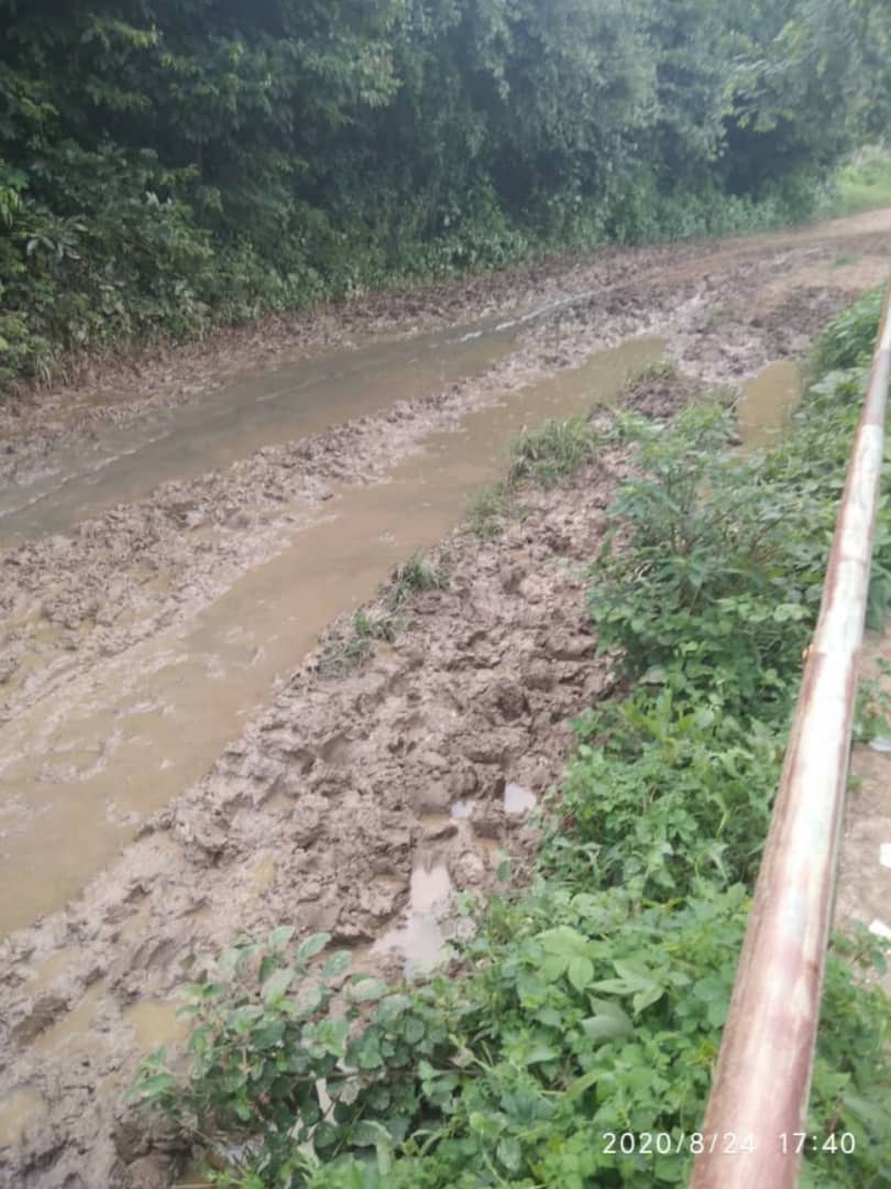 Así están las calles del sector Corozal, municipio Infante. 