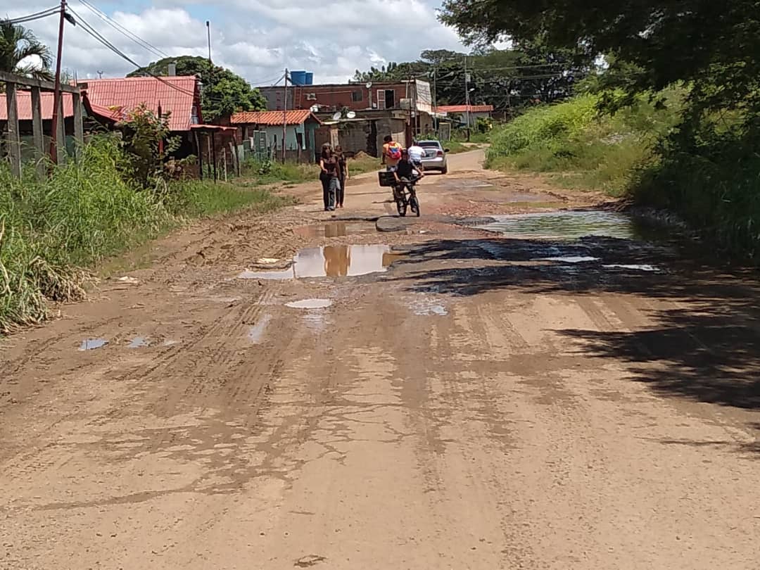 En Corozal los habitantes deben caminar largos trayectos en carreteras inservible. 