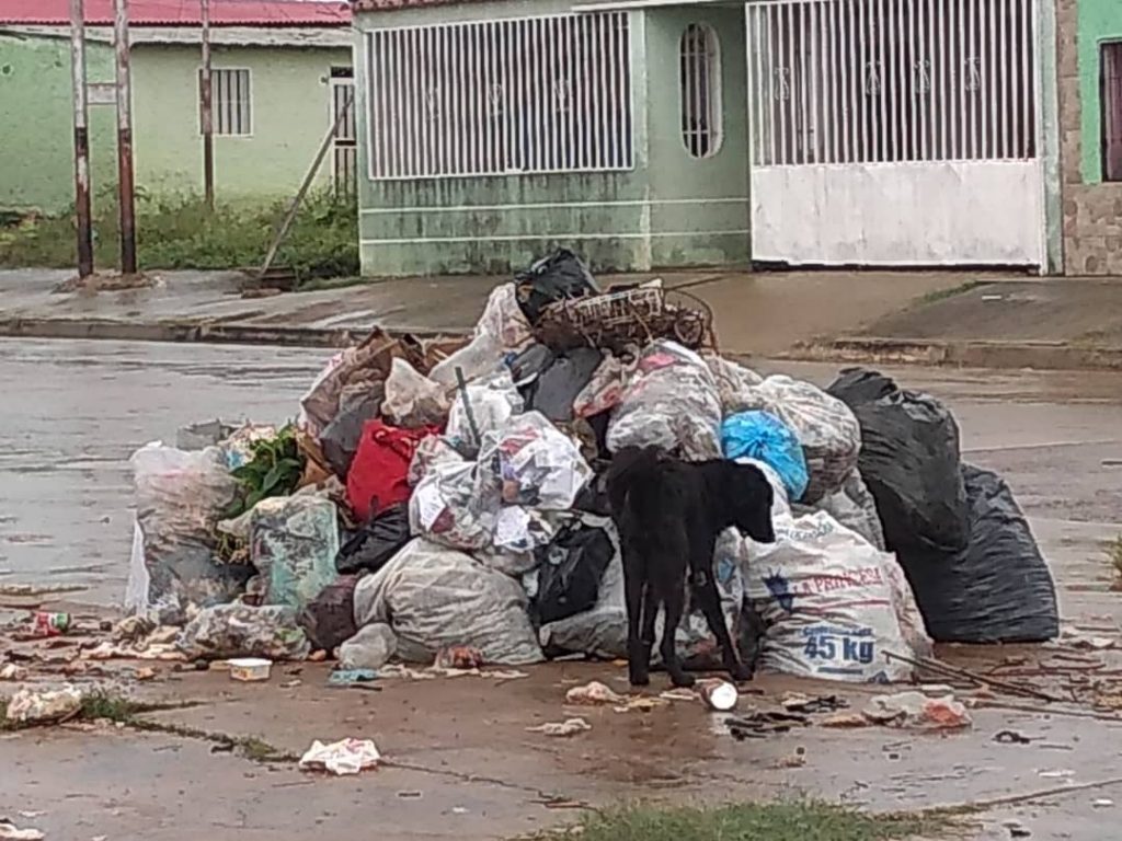 Basura por doquier en la calle 4 de Las Garcitas.