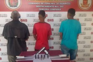 Bandas denominada “Los negritos “dedicados al robo y hurto de fundos en guayabal