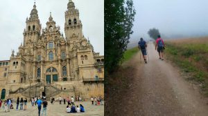 vinos camino de santiago