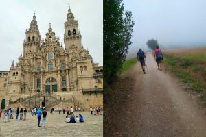 vinos camino de santiago